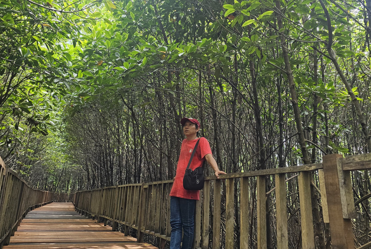 Potret Buram Wisata Mangrove Surabaya, Aset Nasional yang Terabaikan