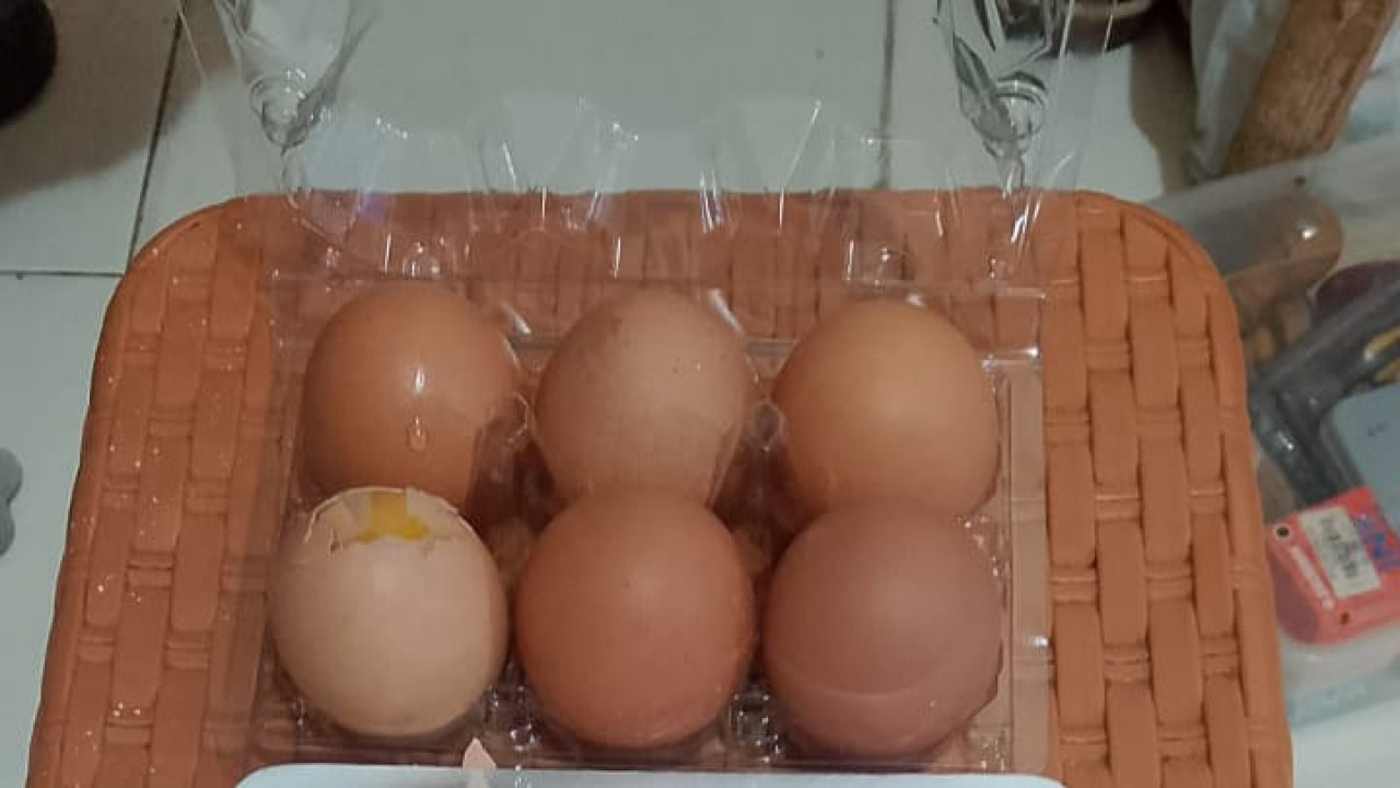 Siswa SMK di Kota Blitar Terima Paket MBG Telur Mentah, Kok Bisa