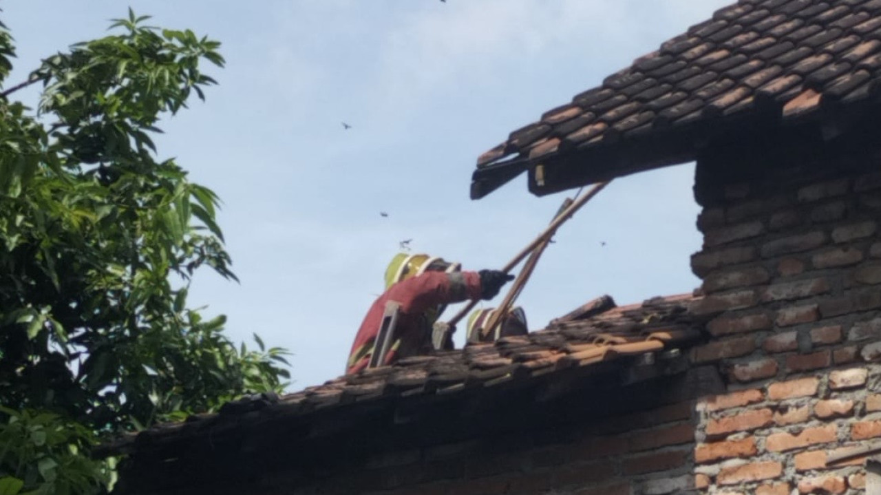 Evakuasi sarang tawon oleh Damkar Kediri. (Foto: Damkar Kediri/jatimnow.com)