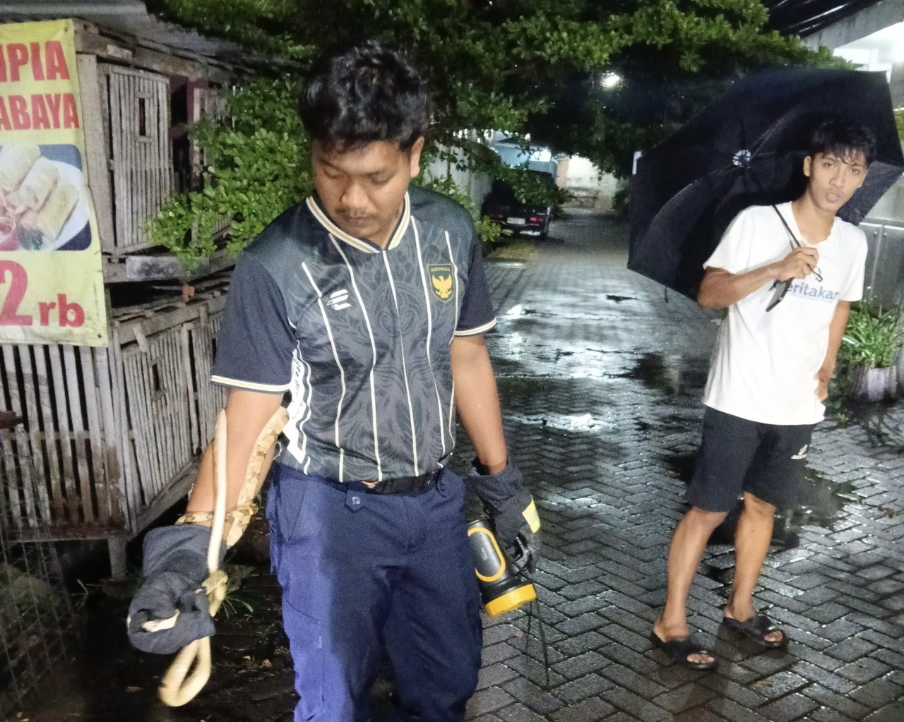 Petugas Damkar Kediri evakuasi ular kayu masuk kandang ayam warga. (Foto: Damkar Kediri/jatimnow.com)