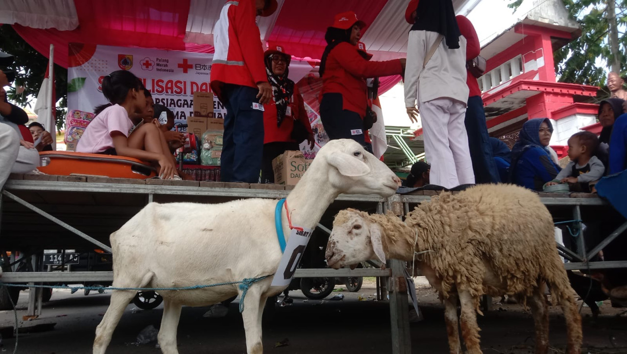 Sosialisasi dan edukasi kebencanaan di Jember berhadiah kambing. (Foto: Gufron for jatimnow.com)
