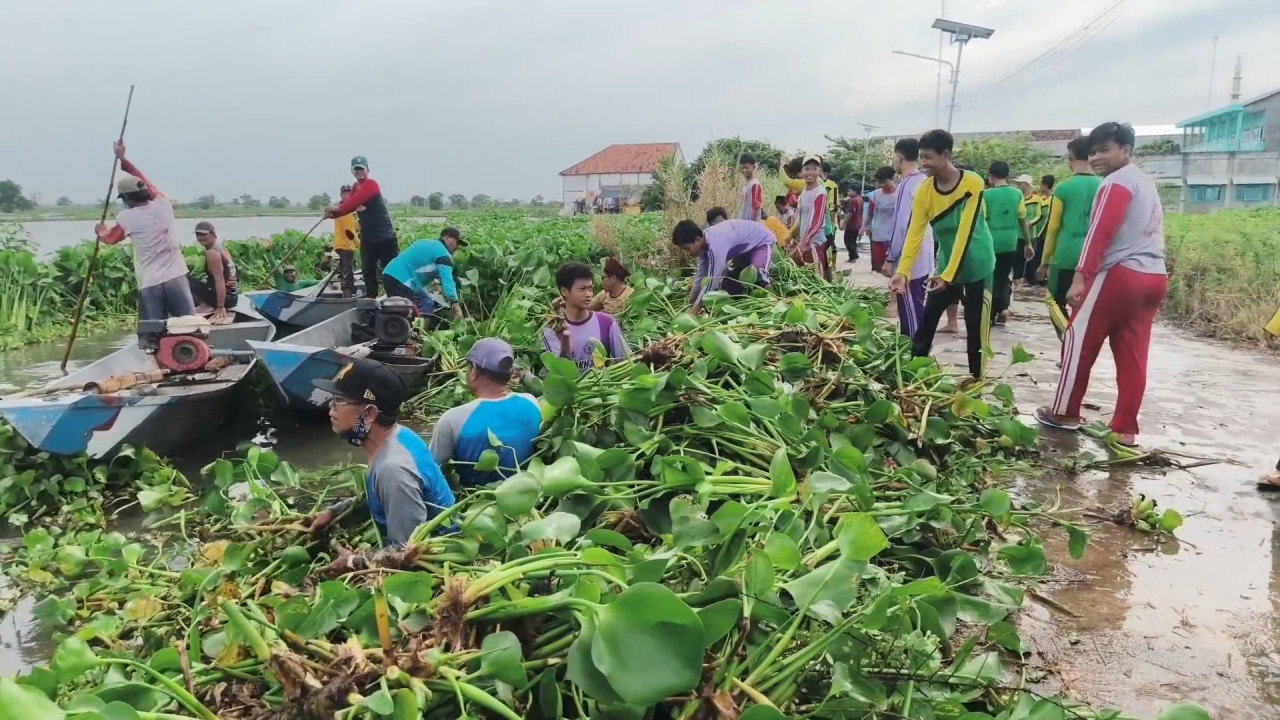 Foto: Kerja Bakti pelajar Lamongan bersihkan sungai dari enceng gondok. (Adyad Ammy Iffansah/jatimnow.com)