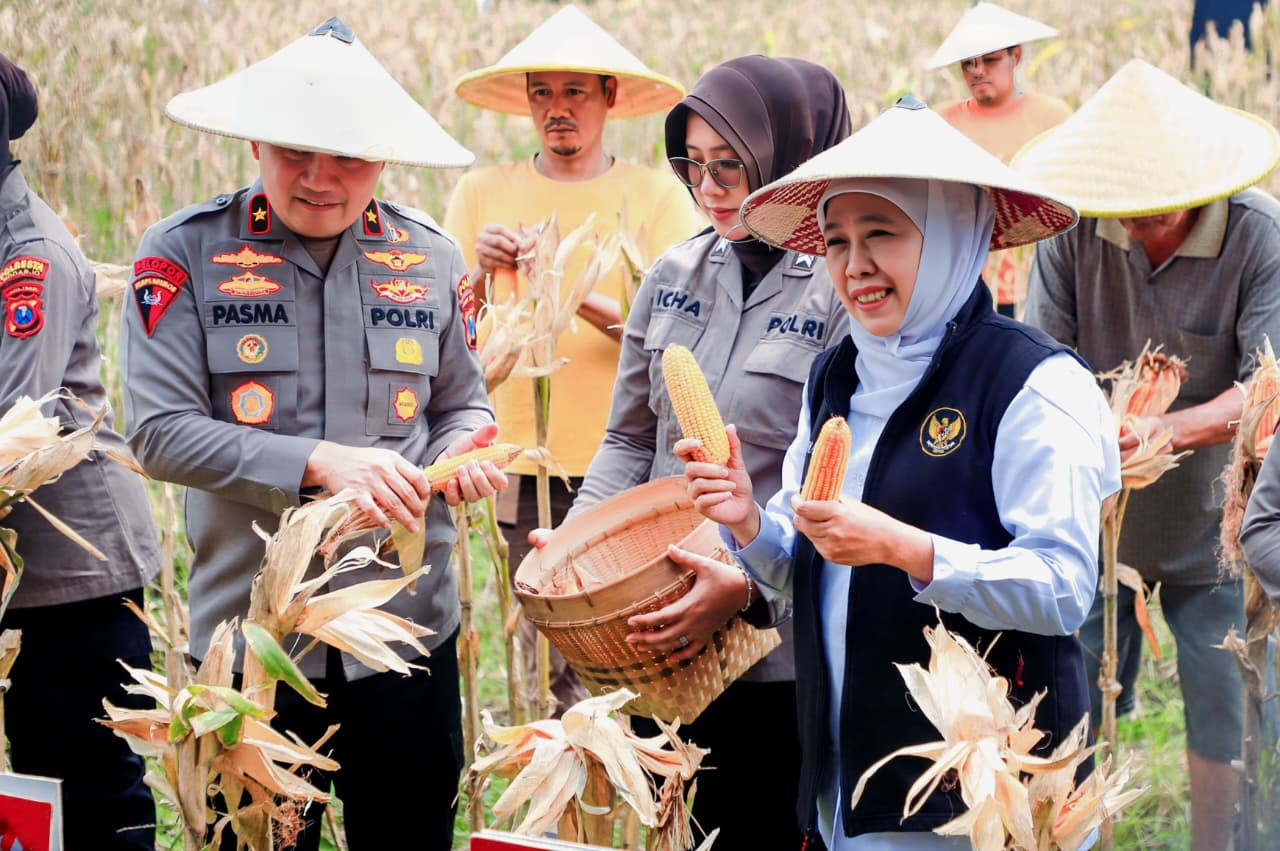 Gubernur Khofifah (kanan) saat panen jagung bersama Kapolda Jatim di Sidoarjo (foto: Humas Pemprov Jatim for jatimnow.com)