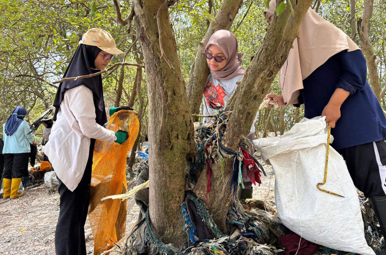 Relawan Ecoton dan River Warrior membersihkan sampah plastik yang menjerat batang mangrove di kawasan Mangrove Wonorejo, Surabaya. (Foto: Ecoton/jatimnow.com)