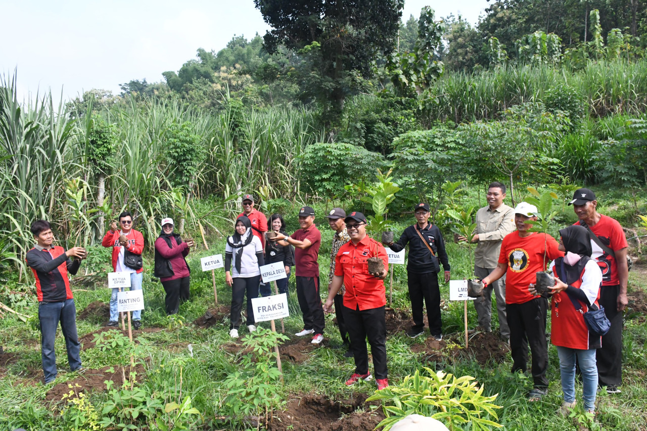 Foto: DPC PDIP Tulungagung menanam kopi dan lepas burung sebagai kado ultah Megawat. (DPC PDIP Tulungagung/jatimnow.com)
