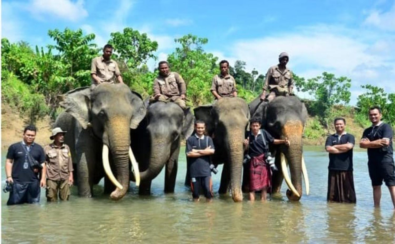 Kematian Gajah Ratna Misterius, JGN dan APECSI Desak Rahmat Shah Terbuka