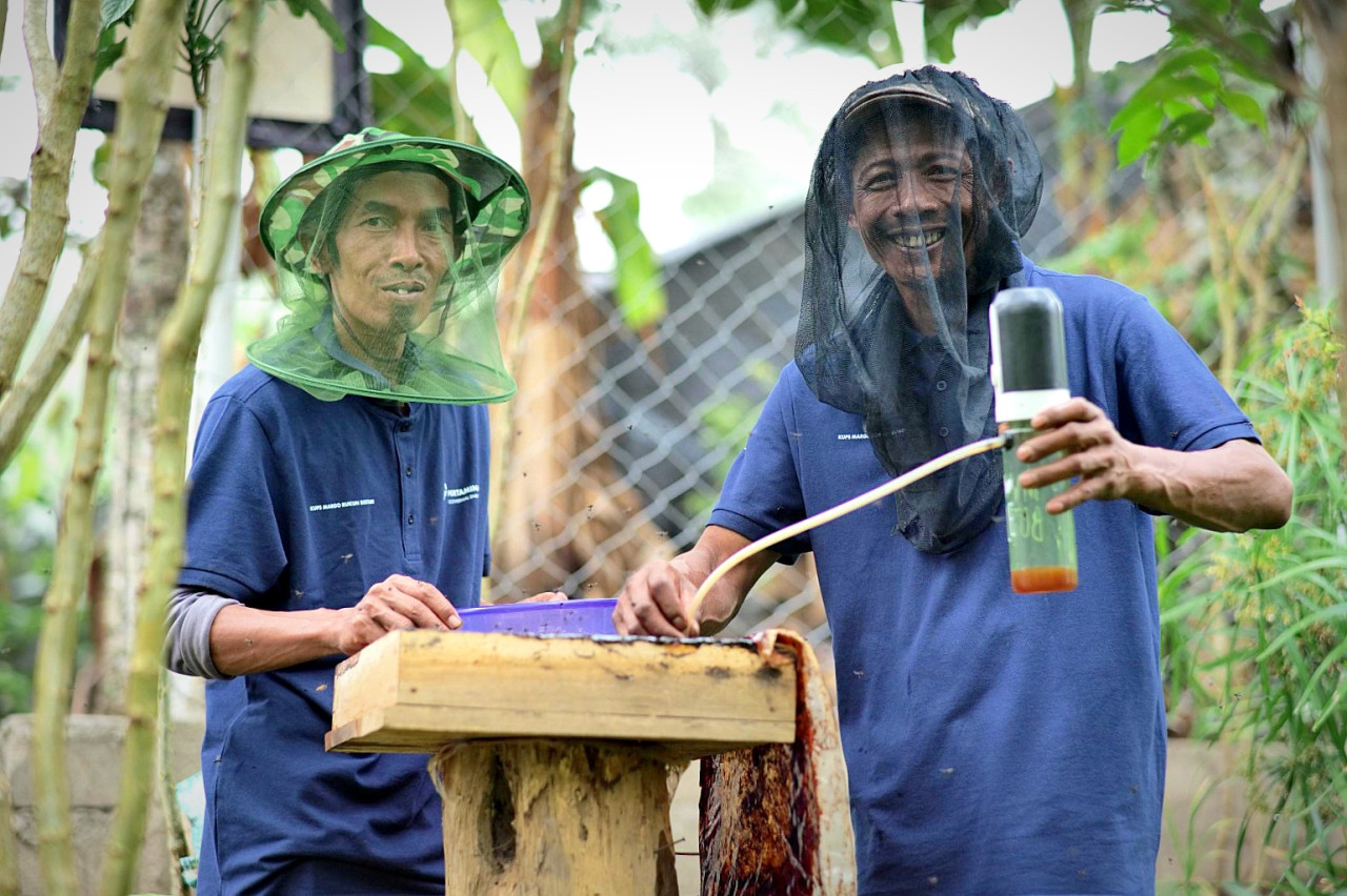 Peternak madu kelanceng di Hutan Mahawana Basuki Besakih, Bali. (Foto: Pertamina for jatimnow.com)