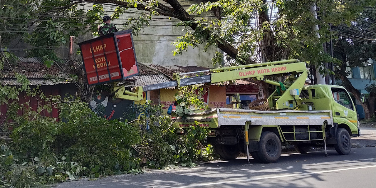 Pemangkasan pohon oleh petugas DLHKP Kota Kediri. (Foto: DLHKP Kota Kediri/jatimnow.com)