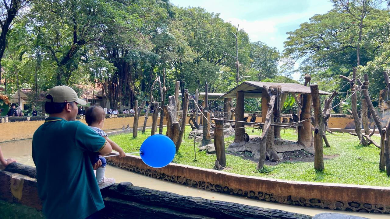 Seorang ayah bersama anaknya sedang melihat Monyet Ekor Panjang, salah satu koleksi Kebun Binatang Surabaya.