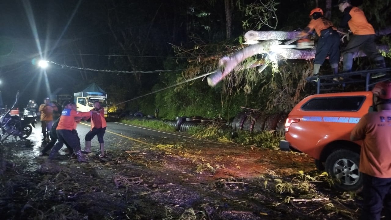Evakuasi pohon tumbang di jalur Trenggalek-Ponorogo. (Foto: BPBD Trenggalek/jatimnow.com)