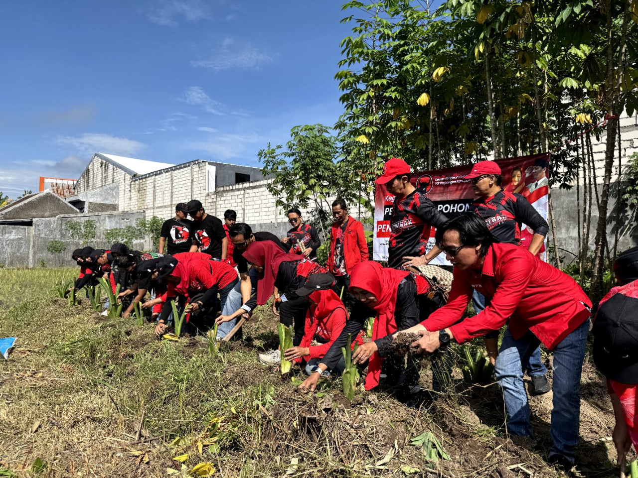 Antisipasi Kelangkaan Pangan, PDIP Jember Gerak Cepat Tanam Pendamping Nasi