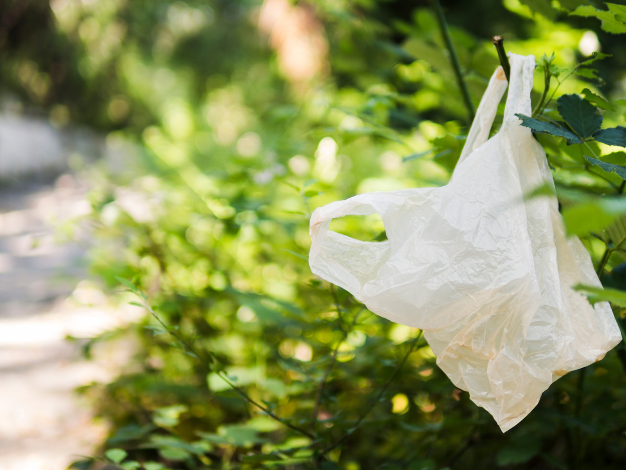 Harga Melambung Tinggi, Pakar Sebut Momen Emas Tinggalkan Plastik