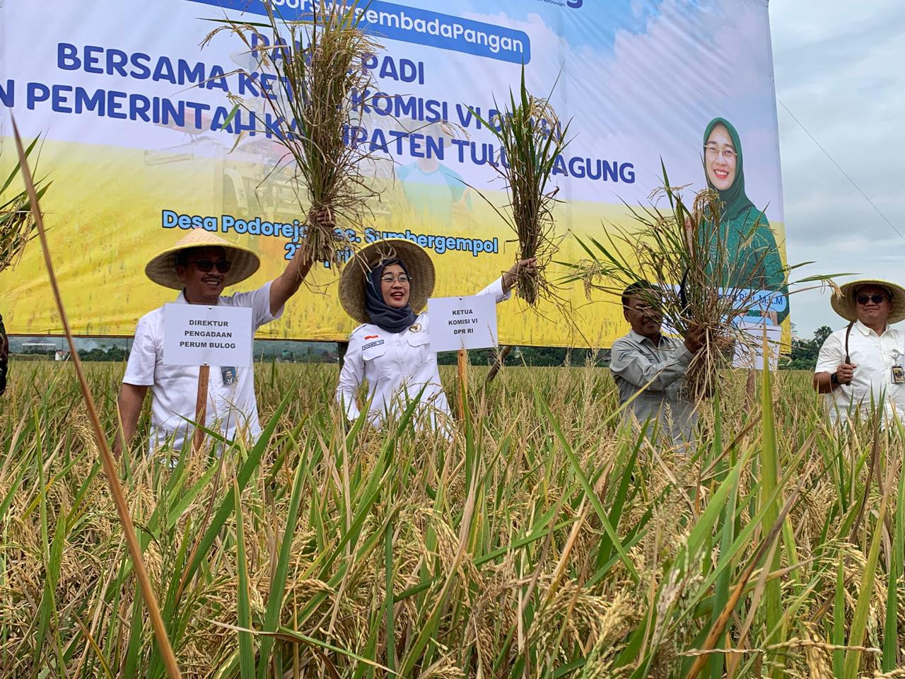 Anggota DPR RI Anggia Ermarini Apresiasi Hasil Panen Beras di Tulungagung