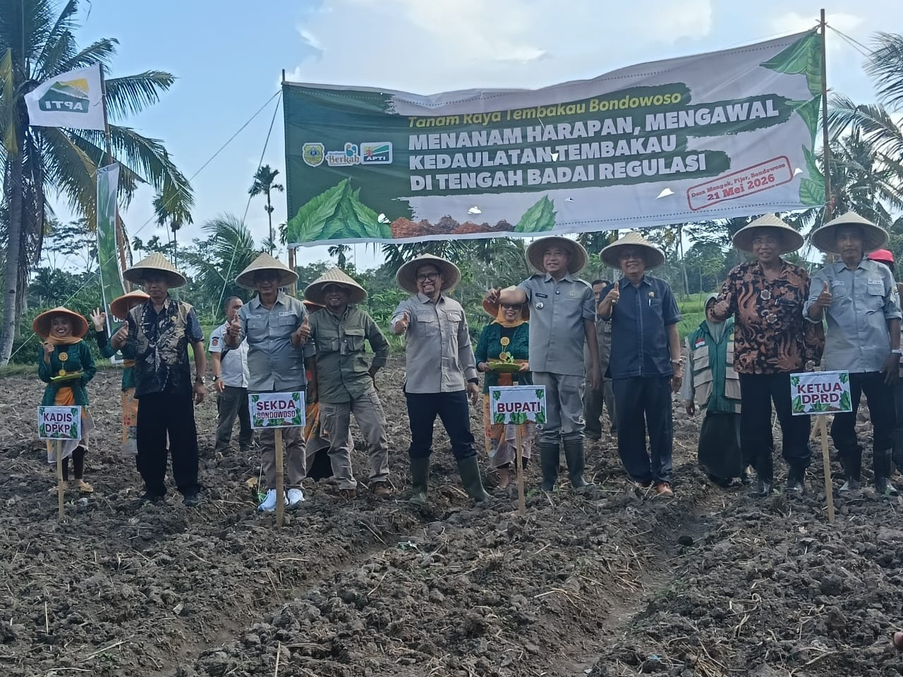 Optimis Menanam, Petani Bondowoso Minta Perlindungan Regulasi Tembakau