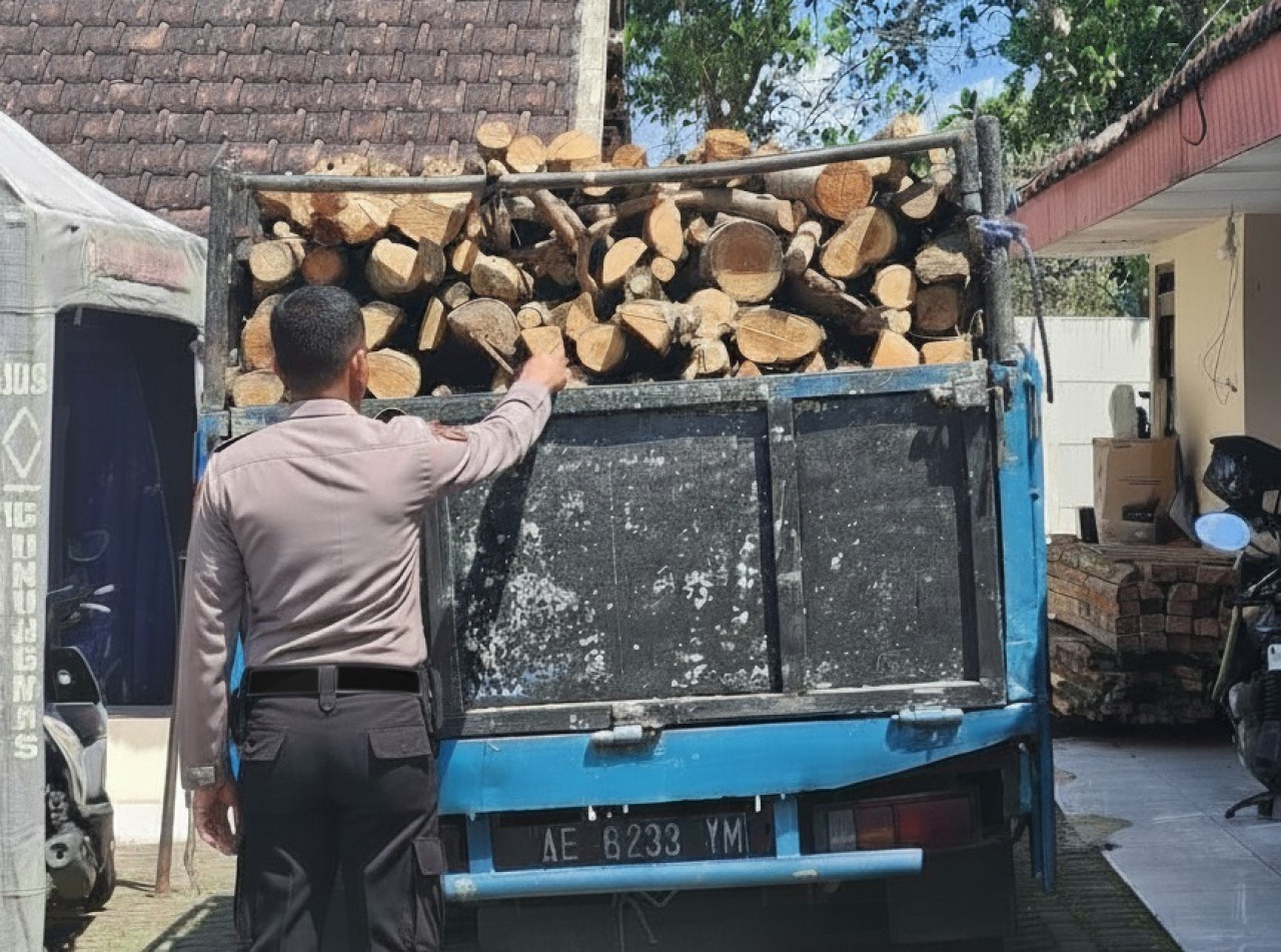 Polisi Bekuk Pelaku Pembalakan Liar di Hutan Lindung Malang