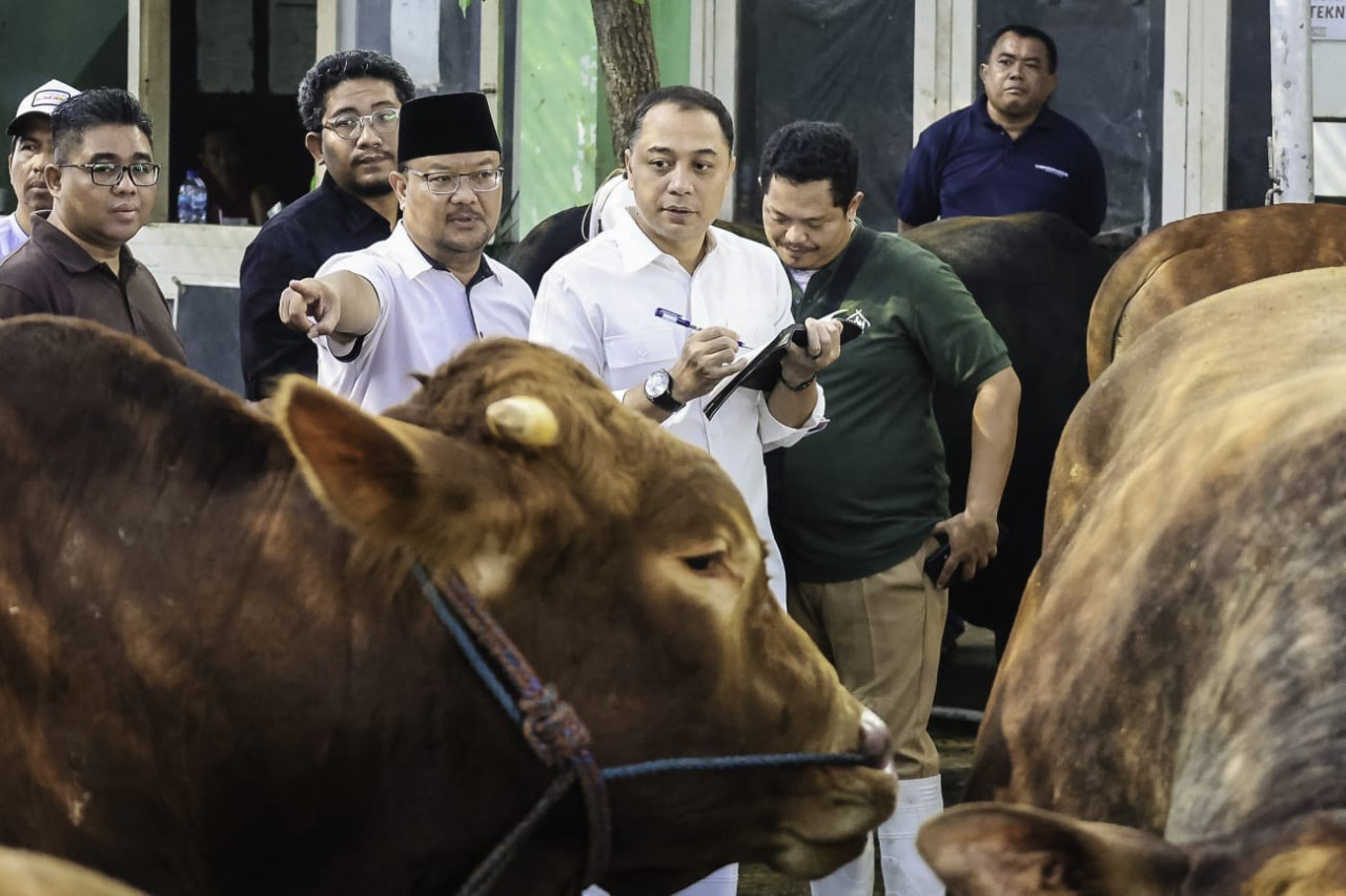 Pemkot Surabaya Perketat Pengawasan Hewan Kurban, Wajib Vaksin PMK