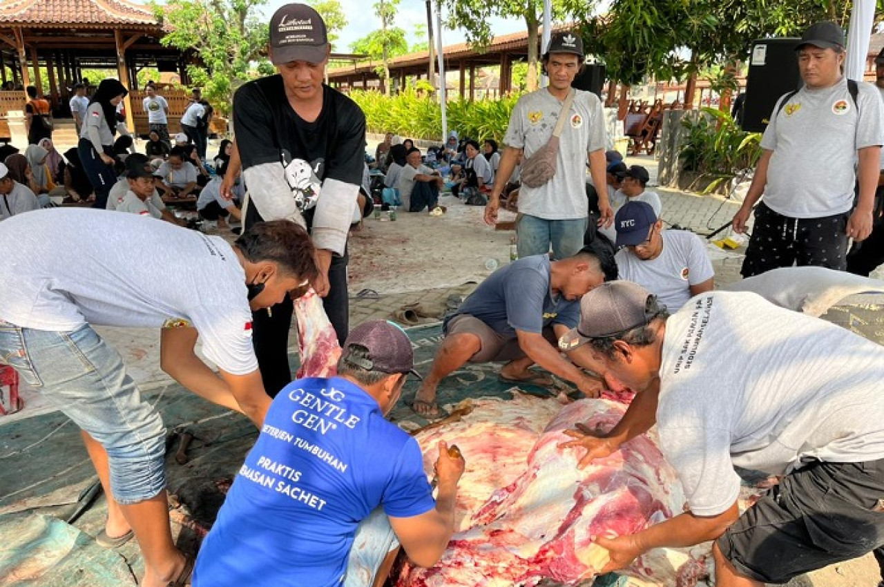 Suasana penyembelihan hewan kurban oleh RSTN Kota Kediri. (Foto: RSTN for jatimnow.com)