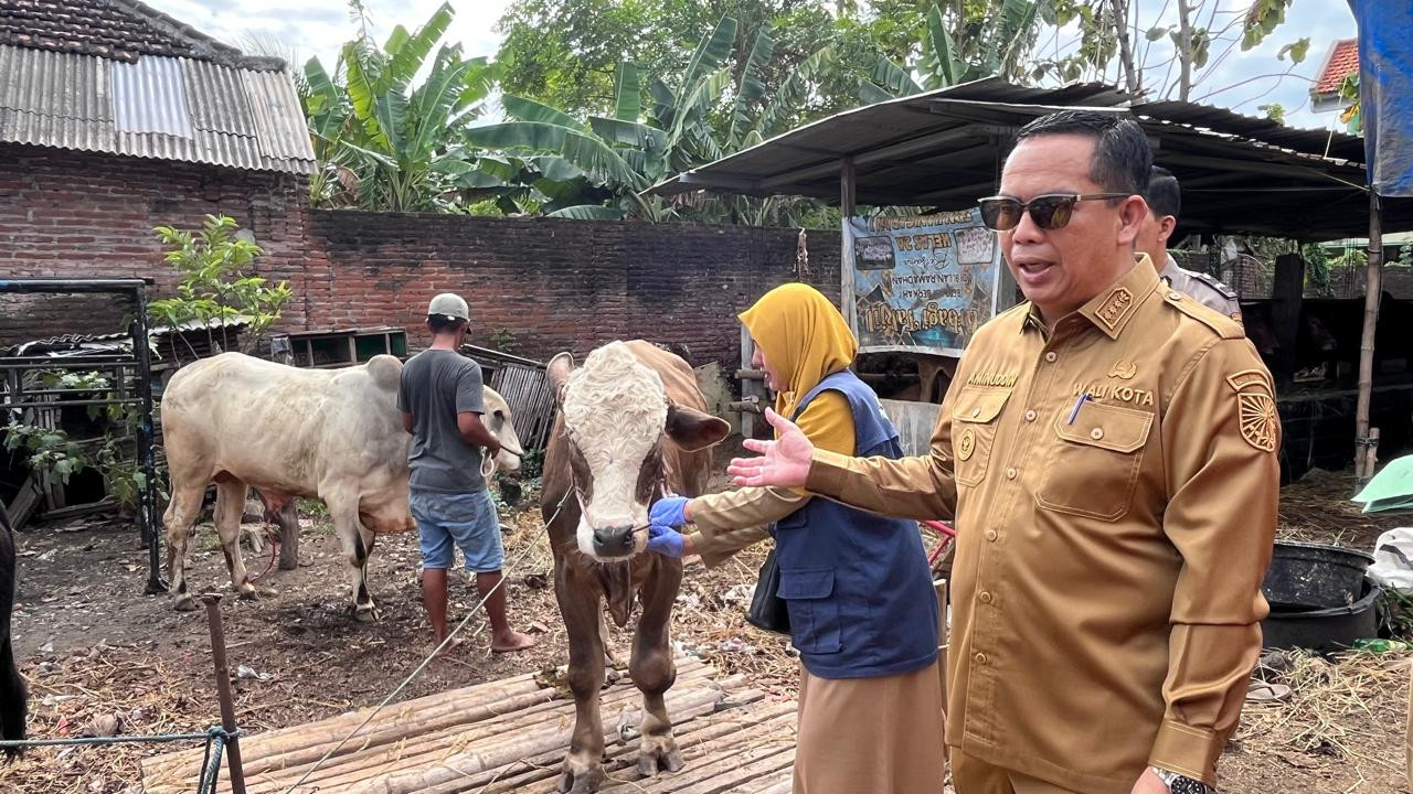Sidak Hewan Kurban, Wali Kota Probolinggo Soroti Kesehatan dan Penurunan Harga
