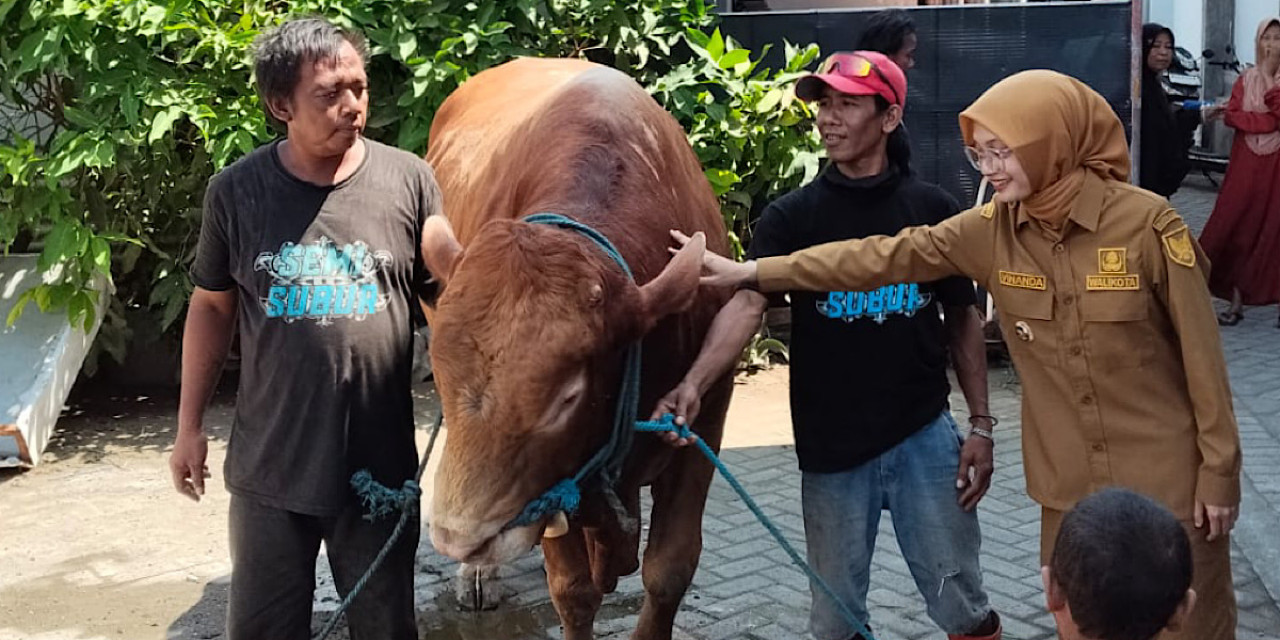 Mbak Vinanda Serahkan Telo, Sapi Kurban Simmental Bantuan Prabowo untuk Kota Kediri