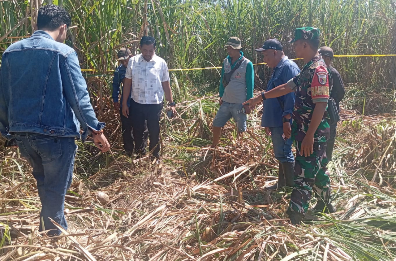 Petugas mendatangi TKP penemuan tengkorak manusia di Dusun Penanggungan, Desa Wirowongso, Kecamatan Ajung, Kabupaten Jember, Selasa (30/6/2026). (Foto: Istimewa)