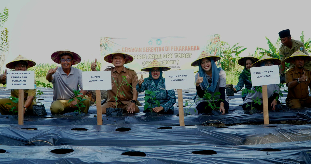 Lamongan Inisiasi Gerakan Tanam Cabai dan Tomat untuk Kendalikan Inflasi