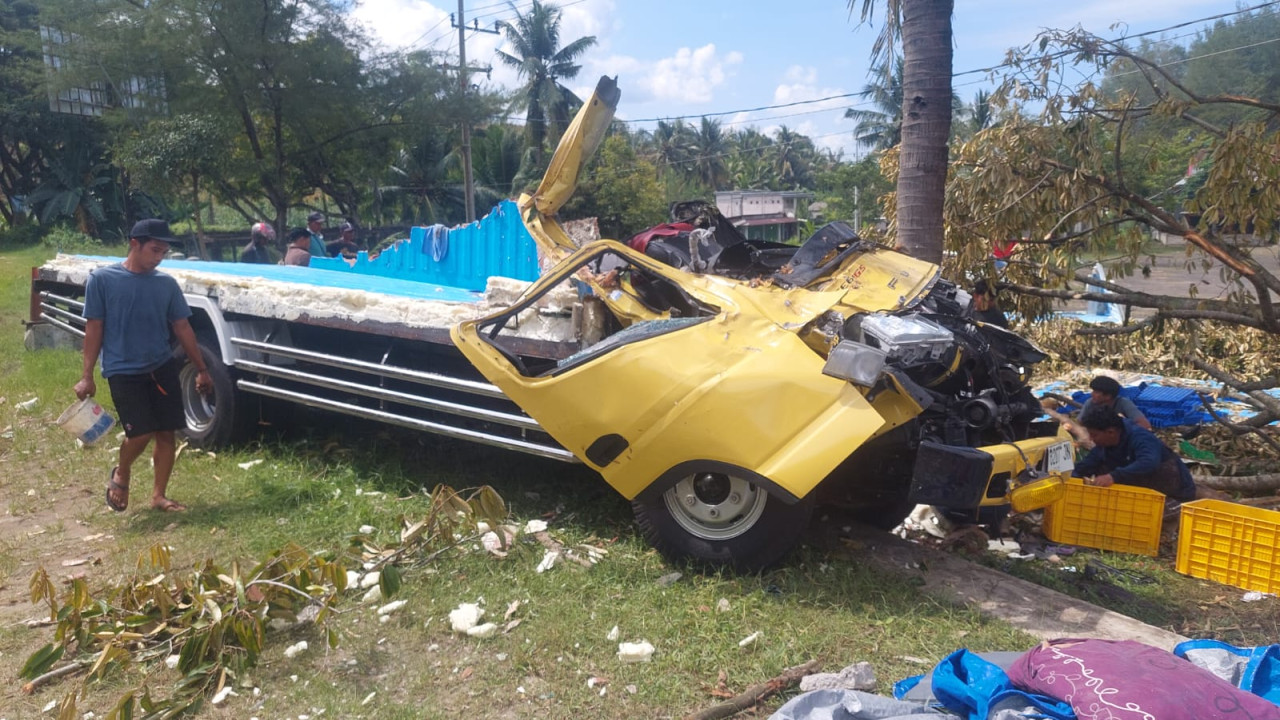 Tabrak Pohon, Truk Pengangkut Ikan Asal Lamongan Terguling di JLS Tulungagung