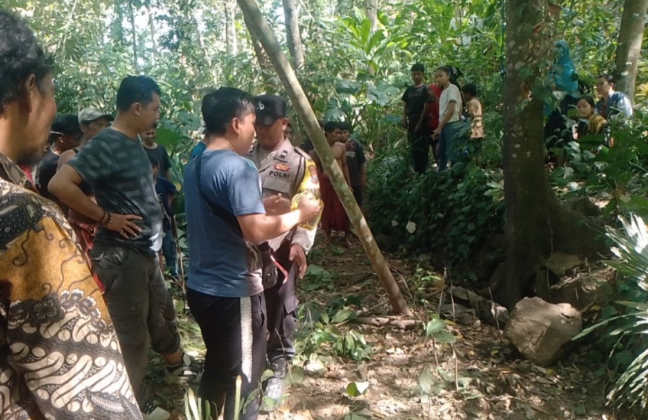 Pencari Kayu Temukan Kerangka Manusia di Bukit Tungu Kalisat Jember