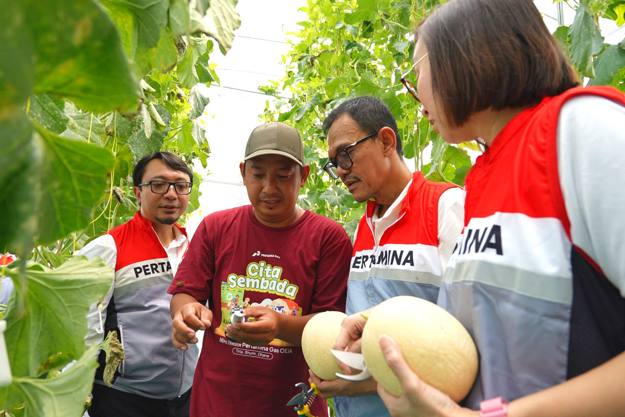 Panen Melon 1,7 Ton di Tanggulangin, Pertagas OEJA Perkuat Ketahanan Pangan