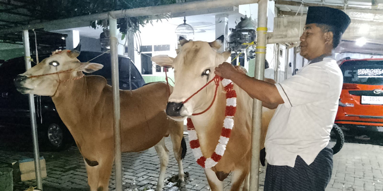 Tradisi memandikan sapi di Desa Pohsangit Leres, Kabupaten Probolinggo. (Foto: Ide Farid/jatimnow.com)