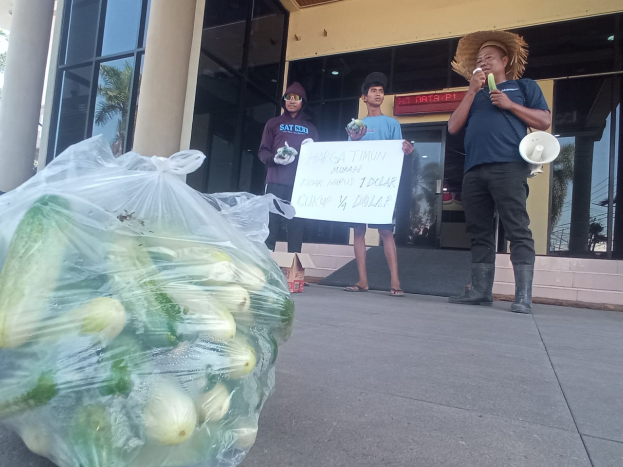 Petani mentimun di Jember bagikan hasil panen. (Foto: Sugianto/jatimnow.com)