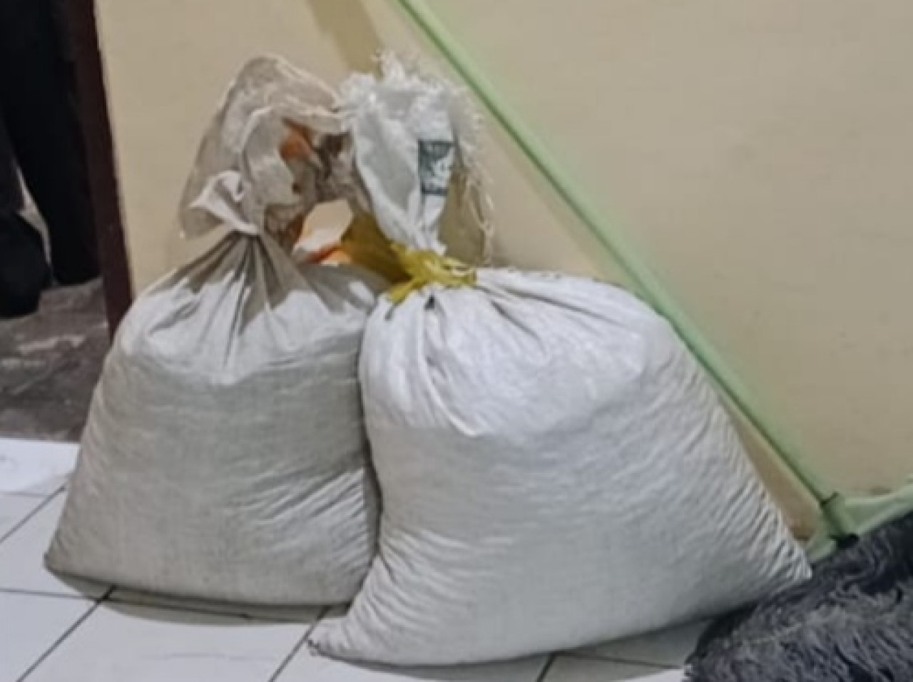 Kopi yang dicuri pelaku dari perkebunan PDP Kahyangan Jember. (Foto: Gogot for jatimnow.com)