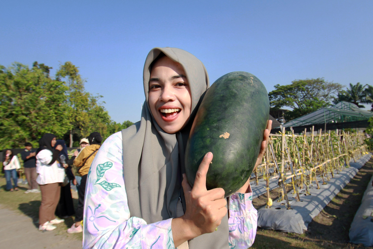 PAE 2026 Jadi Ajang Pesta Rakyat, Rasakan Sensasi Petik Buah dan Sayur