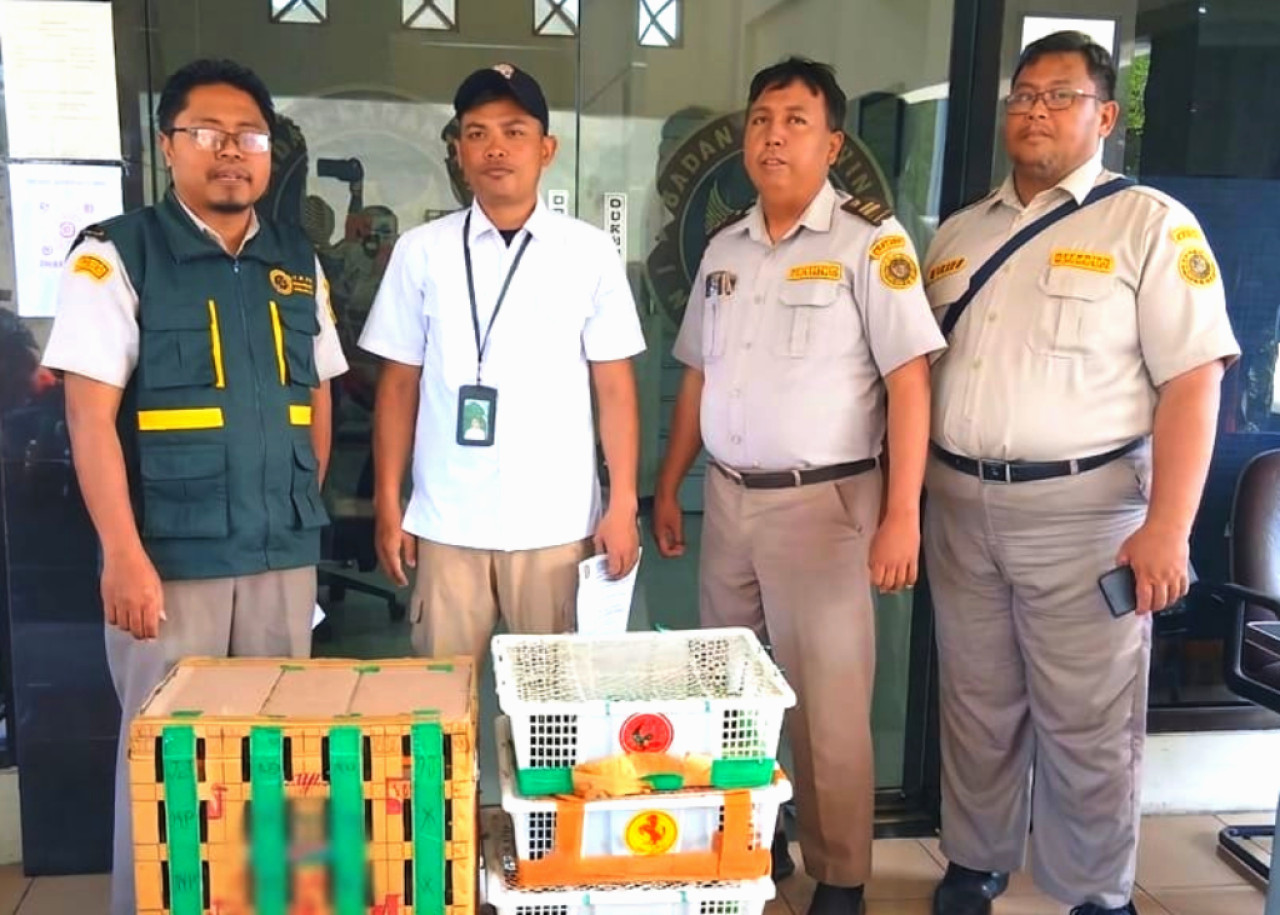 Karantina Jatim gagalkan penyelundupan burung ilegal dari Balikpapan. (Foto: Karantina Jatim for jatimnow.com)