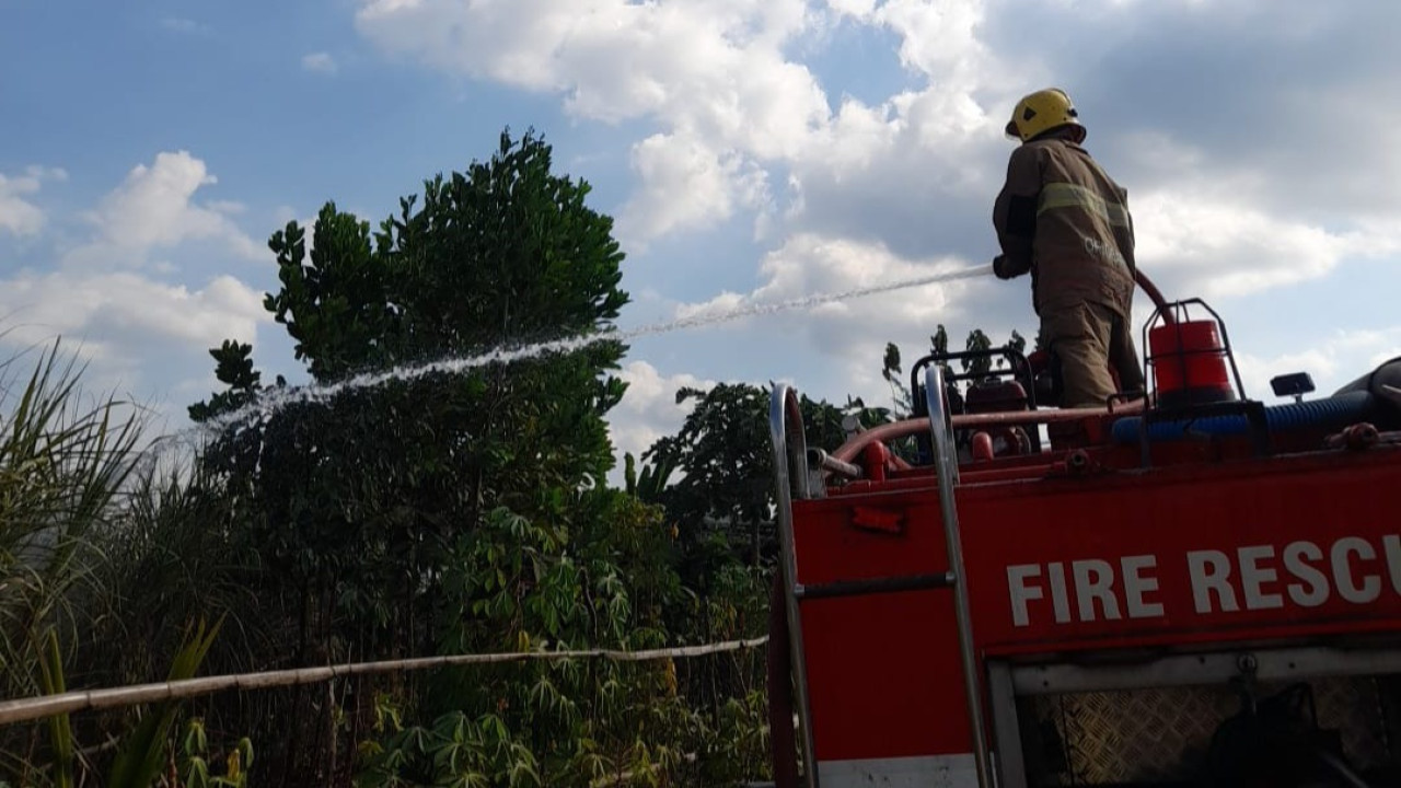 Petani Tebu di Kediri Tewas Terbakar Saat Membakar Sisa Daun Kering