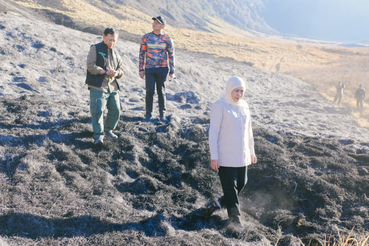 Gubernur Jatim Khofifah Indar Parawansa meninjau proses pemadaman Karhutla di kawasan Gunung Bromo. (Foto: Humas Pemprov Jatim for jatimnow.com)