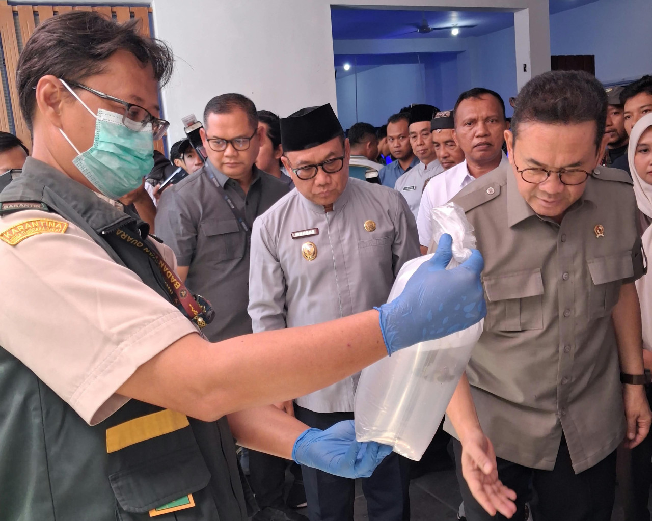 Tembus Pasar Amerika, 230 Koral Hidup Hasil Budi Daya Banyuwangi Sukses Diekspor
