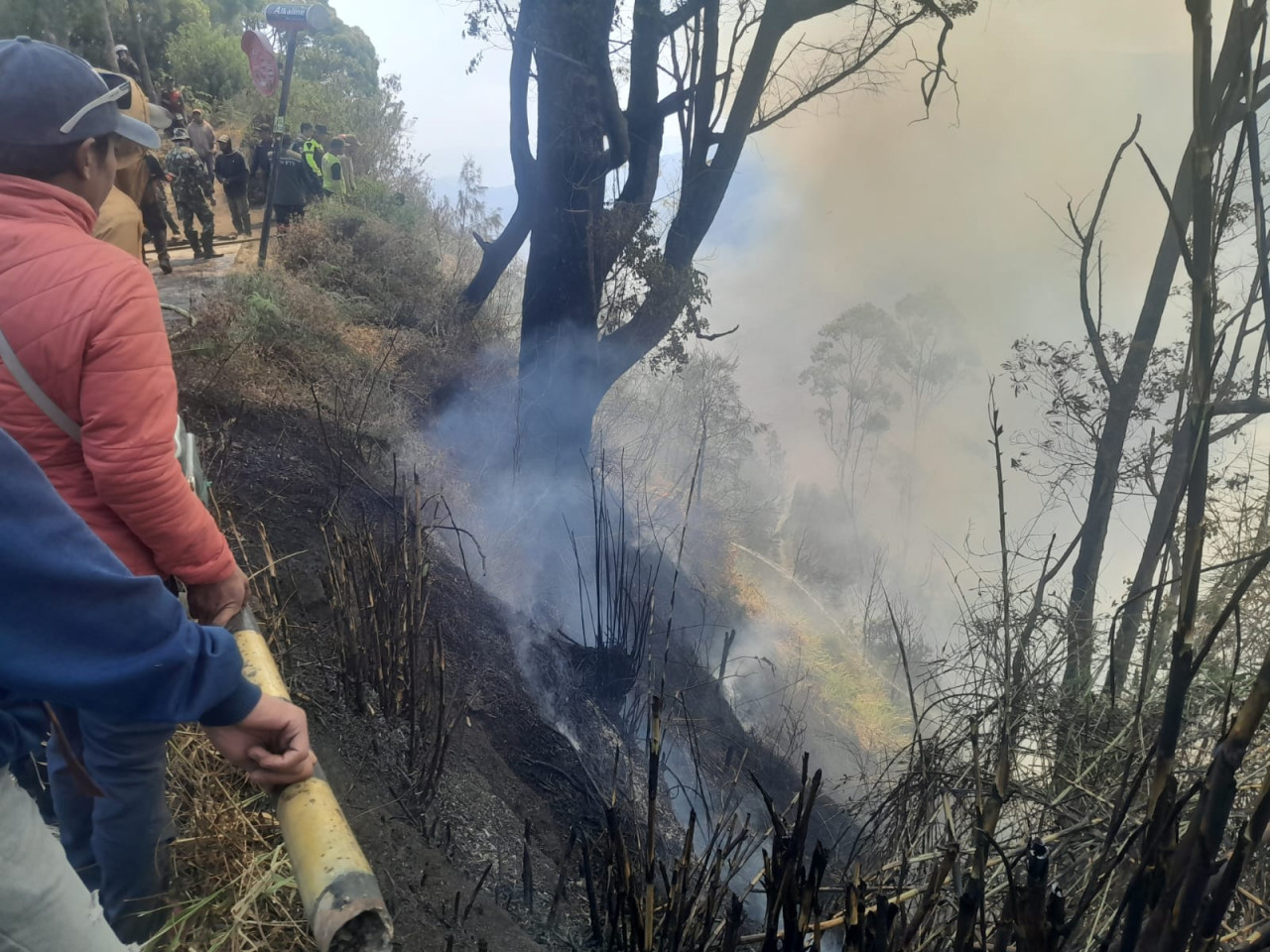 Kebakaran lahan di kawasan Gunung Bromo (Foto: Aris/jatimnow.com)