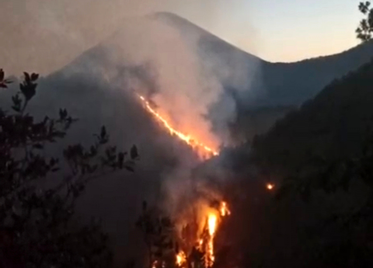 Jalur pendakian Gunung Semeru ditutup total akibat kebakaran hutan di Blok Ranu Kembang. (Foto/WAG)
