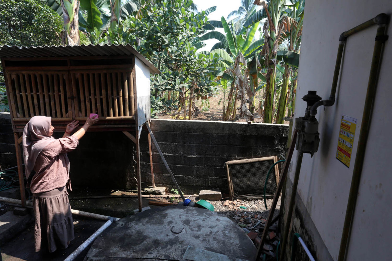 Ernawati memberi makan ayam jago di sangkarnya, di Kabupaten Lumajang, Senin (03/8/2026). Ia merupakan salah satu dari ribuan pelanggan jaringan gas rumah tangga (Jargas) PGN yang masuk dalam cakupan layanan Area PGN Pasuruan.(Foto: Ali Masduki/jatimnow.com)