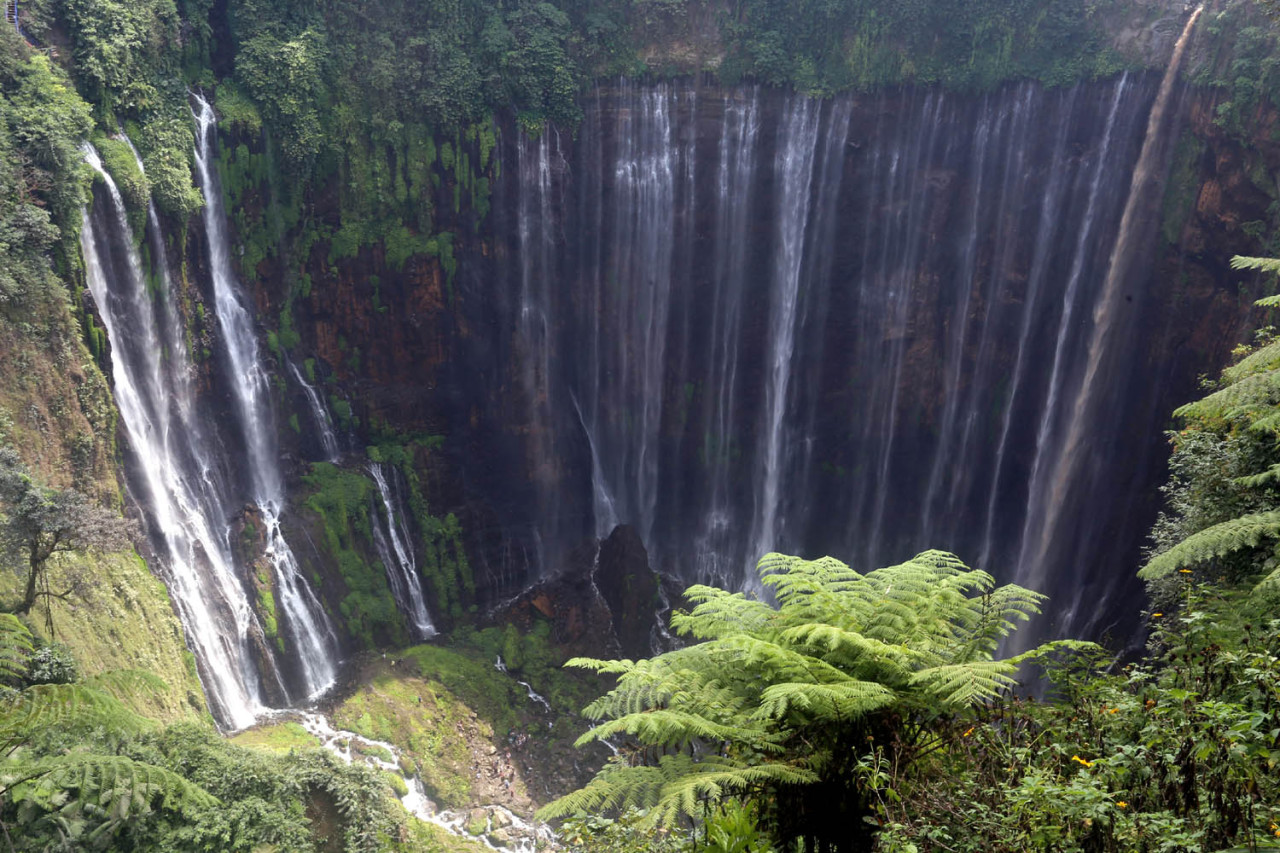 Panorama Air Terjun Tumpak Sewu di Kabupaten Lumajang, Jawa Timur. Dengan aliran air yang jatuh dari tebing dan membentuk tirai alami di tengah kawasan hijau, Tumpak Sewu menjadi salah satu wisata andalan di Jawa Timur. (Foto: Ali Masduki/jatimnow.com)
