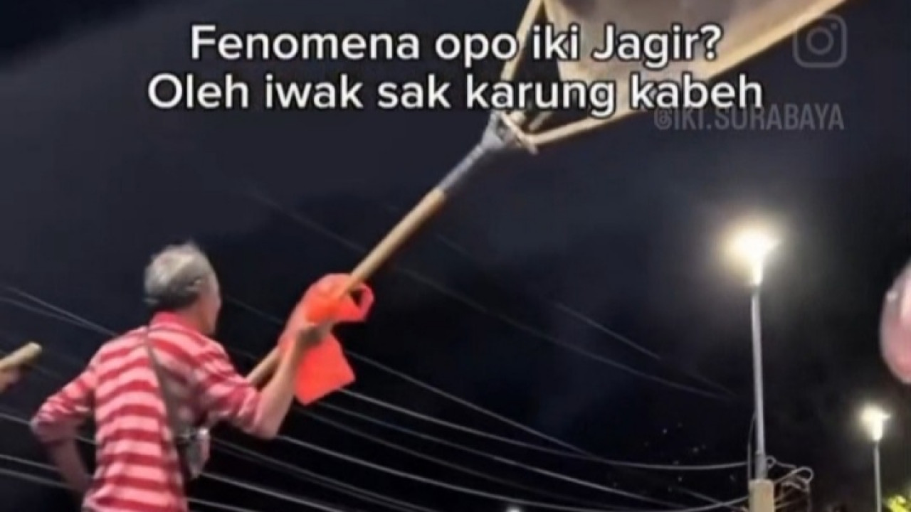 Fosfat Tembus 6 Kali Lipat Baku Mutu, Ikan di Sungai Jagir Surabaya Mati