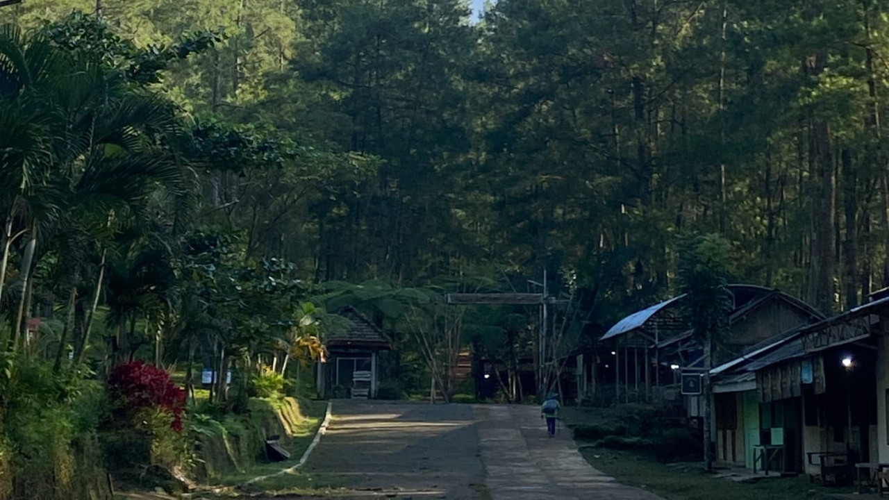 Karhutla, Akses Pendakian Gunung Wilis Via Tulungagung Ditutup