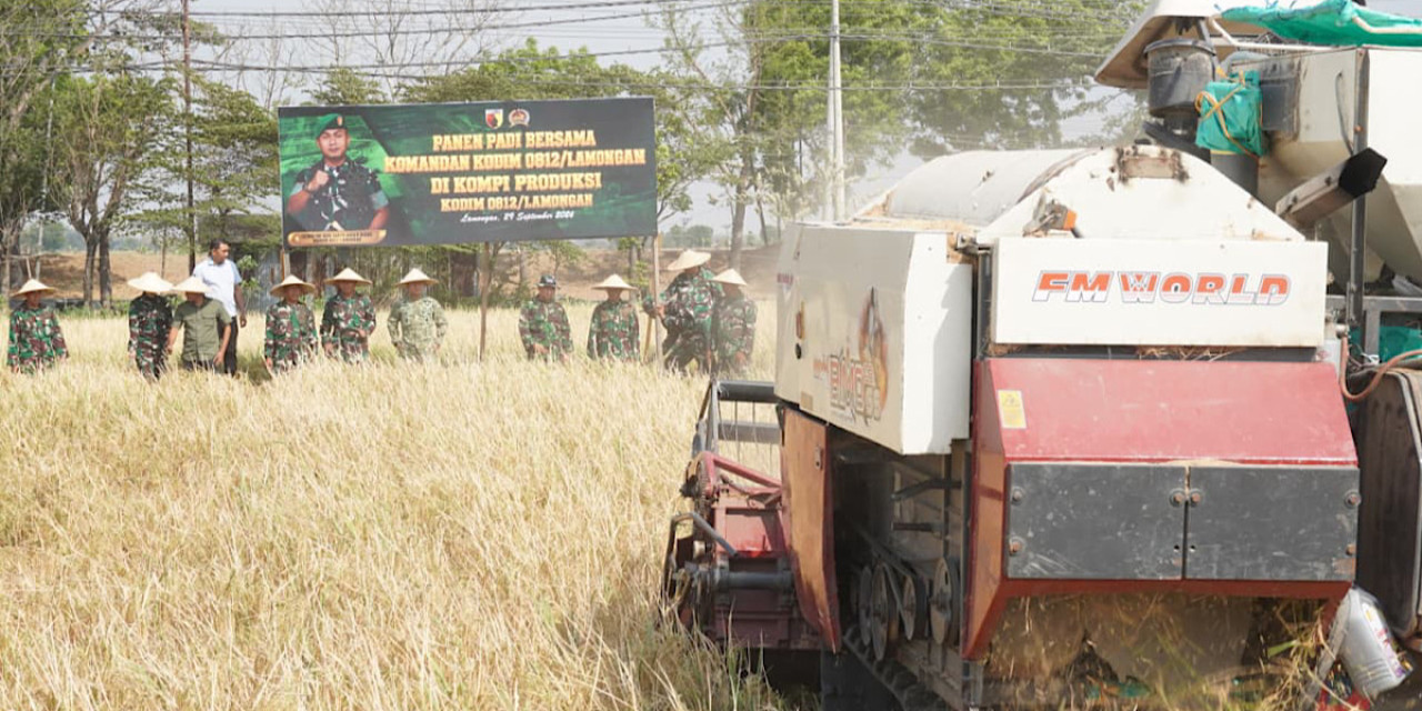 Kodim Lamongan Panen Raya Padi Varietas PMJ 02, Jadi Contoh Pertanian Lokal