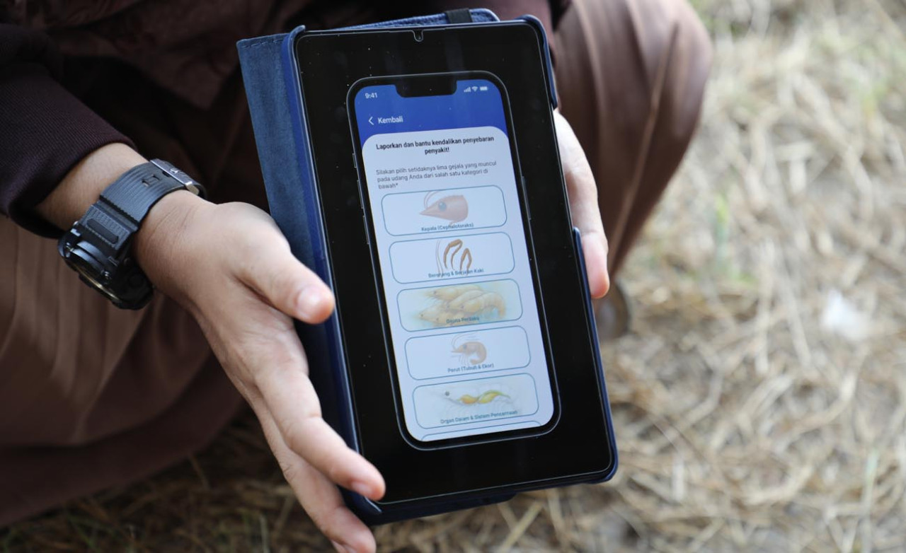 Petambak Udang Kini Bisa Deteksi Penyakit Tambak Pakai AI SMARTAMBAK