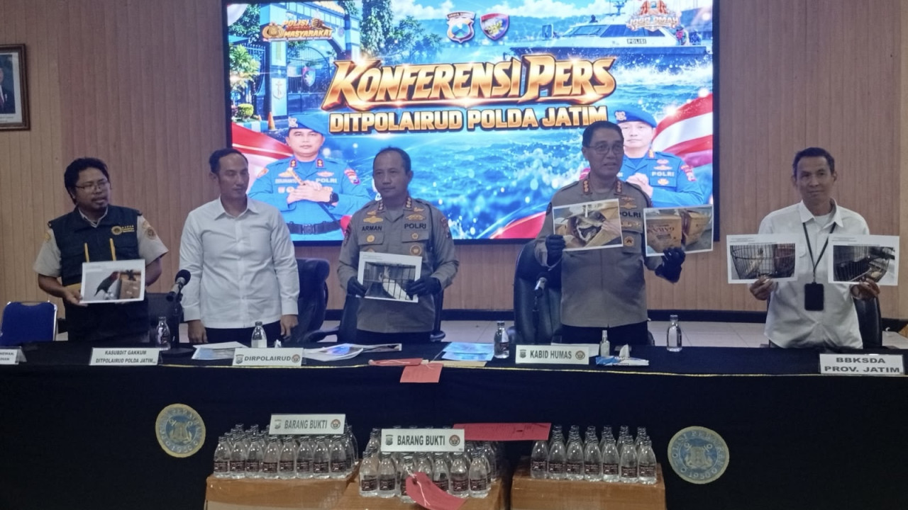 Rilis pengungkapan pengangkutan satwa dilindungi dan produk hiu tanpa dokumen hingga peredaran arak serta penyalahgunaan solar bersubsidi. (Foto: Sujianto/jatimnow.com)