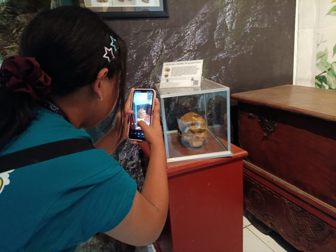 Replika tengkorak Homo Wajakensis yang disimpan di Museum Daerah Tulungagung. (Foto: Bramanta/jatimnow.com)