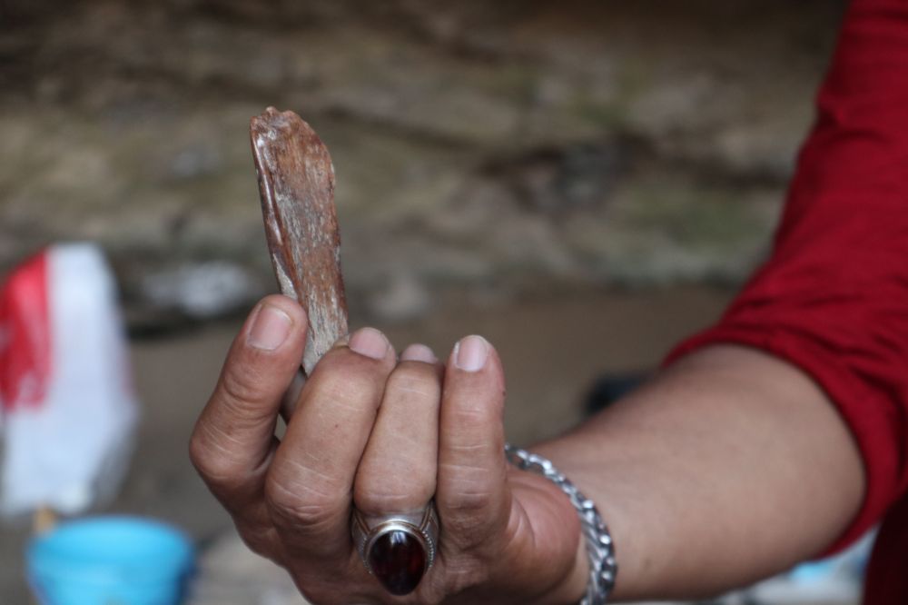 Tim Pusat Penelitian Arkeologi Nasional menunjukkan peralatan dari tulang hewan yang diduga milik manusia purba di Gua Lowo Ponorogo