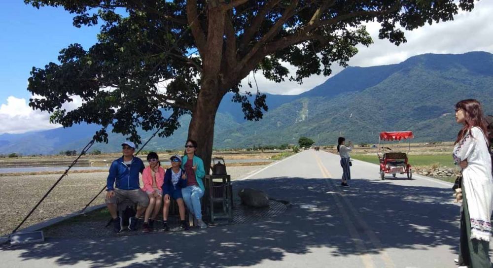 Para wisatawan berfoto ria di bawah pohon besar yang sangat terkenal di tempat wisata ini 