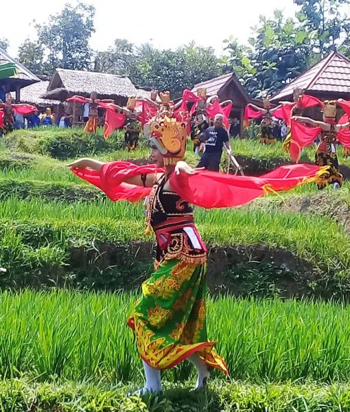 Para Penari Gandrung menari di pematang sawah Banyuwangi