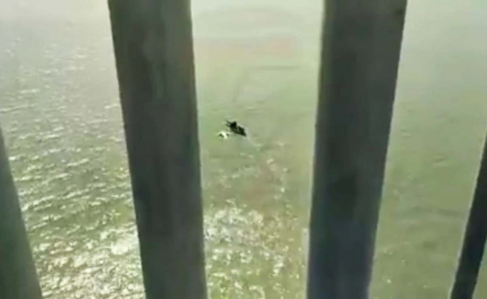 Tangkapan layar video penampakan ikan diduga hiu yang diunggah akun Facebook Asoka Osaka